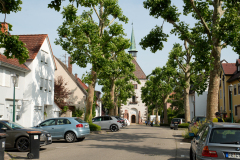 DSC1399