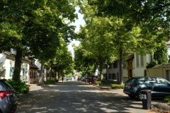 DSC1414