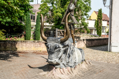 DSC1418