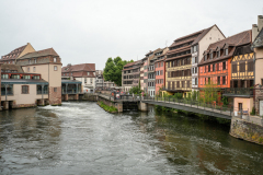 DSC1651