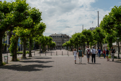 DSC1696