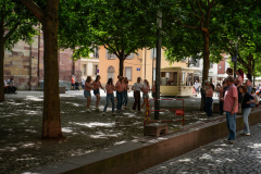 DSC1770