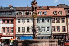 DSC2030