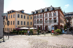 DSC2079