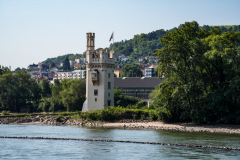 DSC2556
