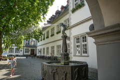 DSC2845