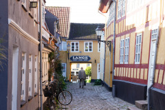 DSC05486