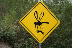 Alaskan Mosquito Warning Sign DSC09138