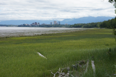 Anchorage in the Distance DSC08203