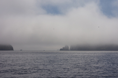 Kenai Fijords DSC09837