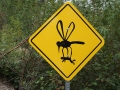 Alaskan Mosquito Warning Sign DSC09138