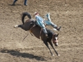 Rodeo At Calgary Stampede