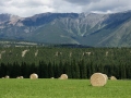 Bales Of Hay