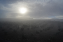 DSC09422