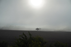 DSC09425