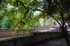 DSC09537