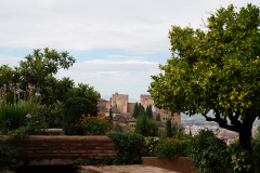 DSC09547