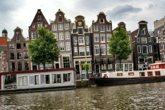 DSC3460