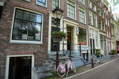 DSC3507