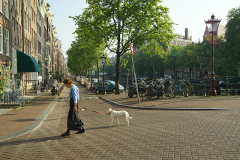 DSC02525