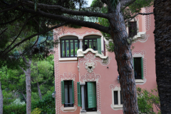 DSC08000