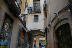 DSC08387