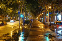 DSC08436