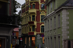 DSC06233