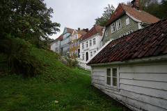 DSC06318