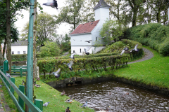 DSC06358