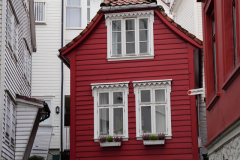 DSC06391