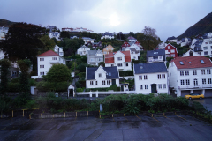 DSC06492