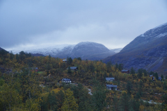 DSC06600