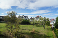 DSC06694