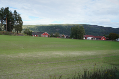 DSC06712