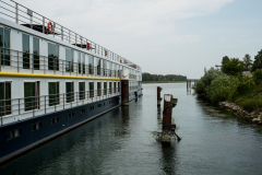 DSC1465