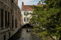 DSC3682