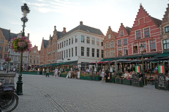 DSC3766