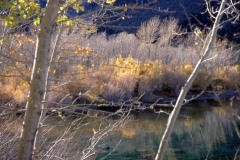 Fall Sierras Trees Lake