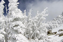 Heavenly Tahoe 2