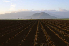 Oxnard Field To Mountains At Sunrise