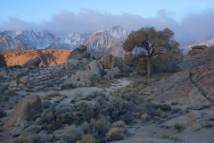 Sierra Nevada Mtns