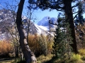 Fall In The Eastern Sierras