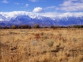 Sierras In The Fall From Ownes Valley