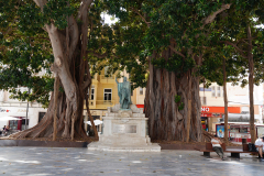 DSC09351