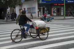 zDSC06854