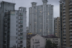 zDSC07343