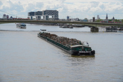 DSC00611