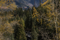 wSC09838