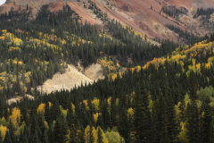 xSC00209